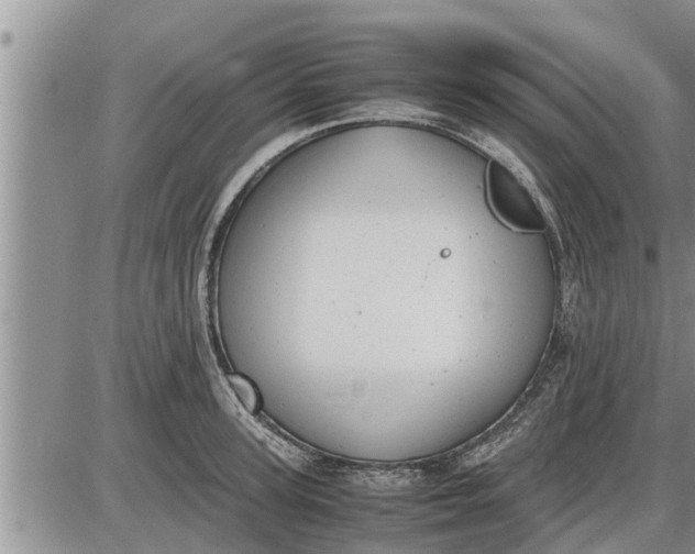 X0000085250947200703231646