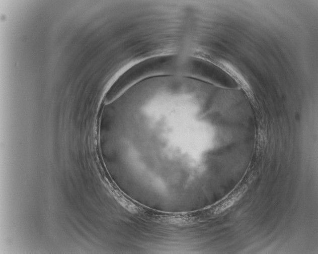 X0000085250948200703231646