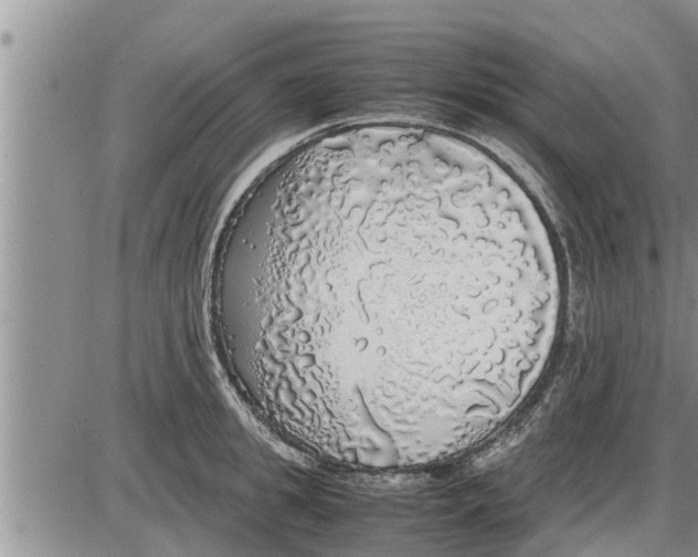 X0000085250949200703231646