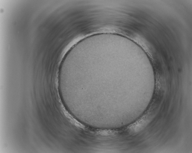 X0000085250950200703231646