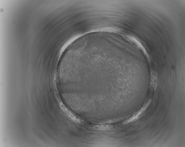 X0000085250952200703231646