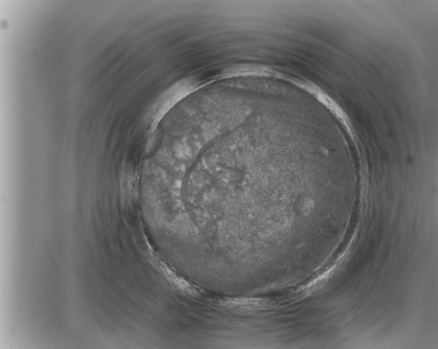 X0000085250953200703231646