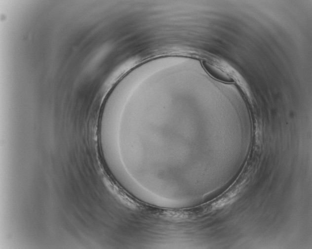 X0000085250954200703231646