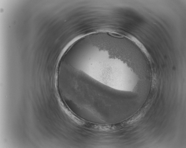 X0000085250955200703231646