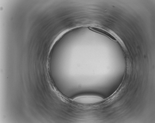 X0000085250956200703231646