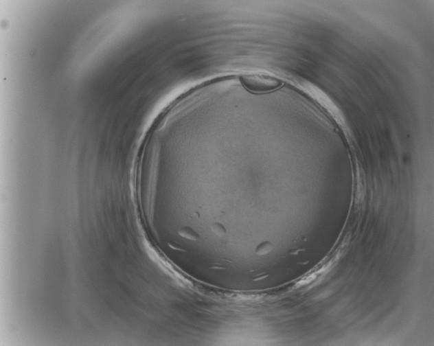 X0000085250958200703231646