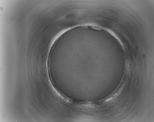 X0000085250959200703231646