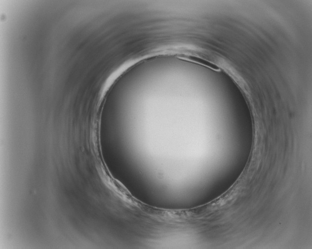 X0000085250960200703231646