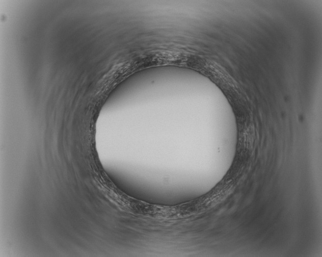 X0000085250961200703231646