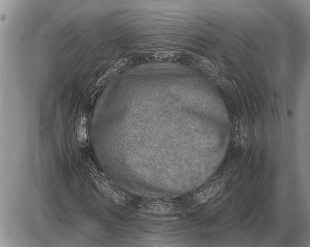 X0000085250962200703231646