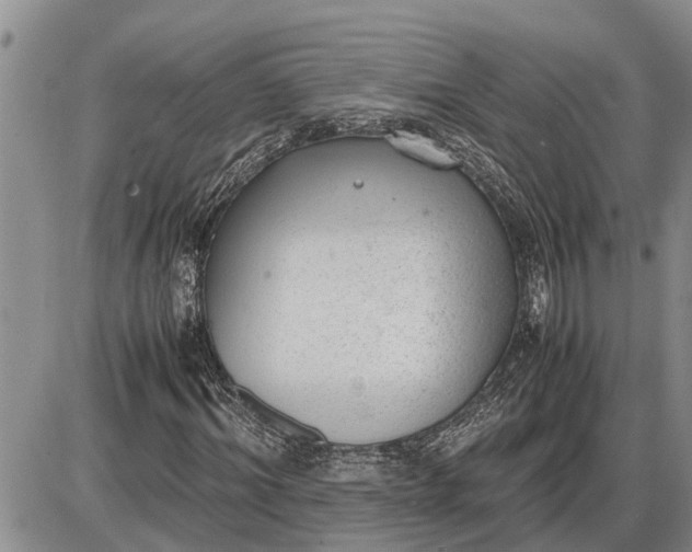 X0000085250964200703231646