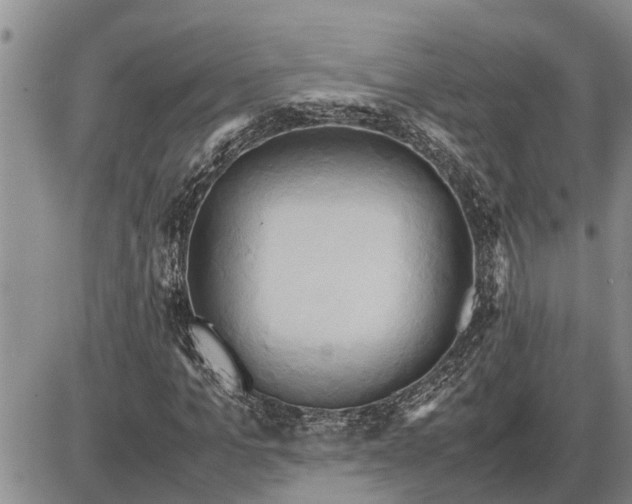 X0000085250965200703231646