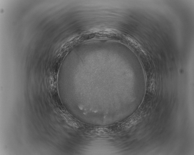 X0000085250966200703231645