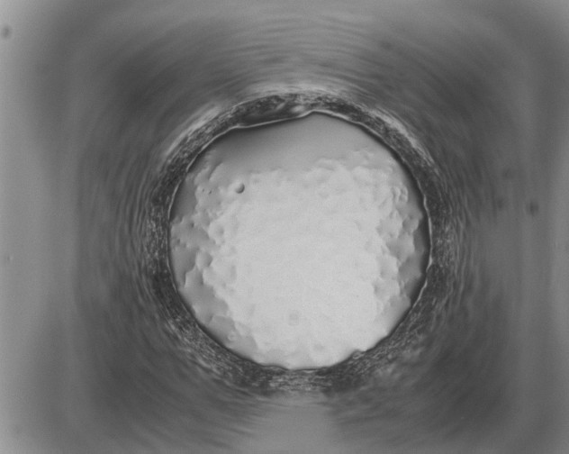 X0000085250967200703231645