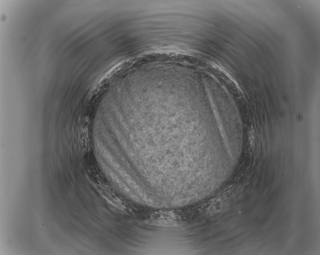 X0000085250968200703231645