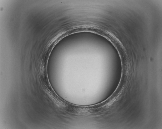 X0000085250969200703231645