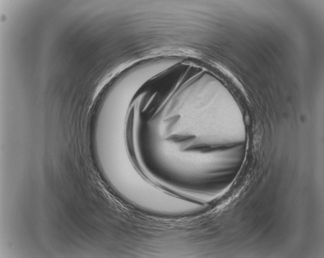 X0000085250973200703231645