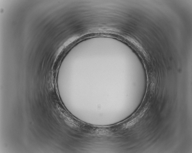 X0000085250974200703231645