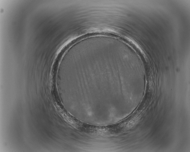 X0000085250975200703231645