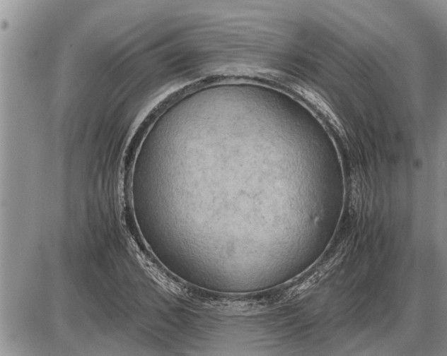 X0000085250976200703231645