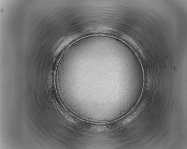 X0000085250978200703231645