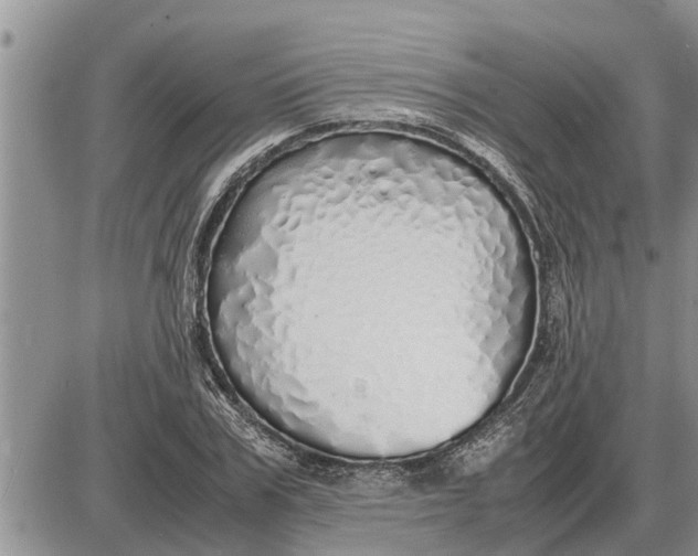 X0000085250979200703231645