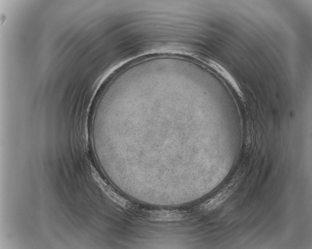 X0000085250980200703231645