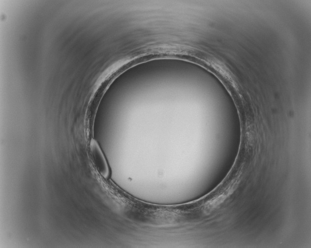 X0000085250981200703231645