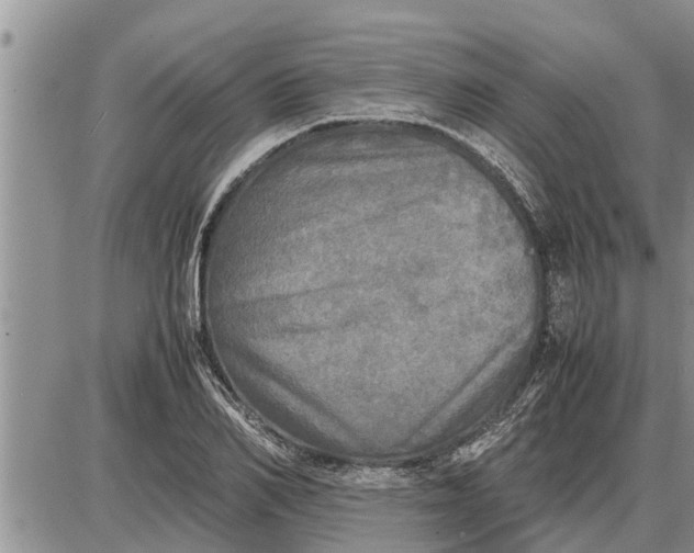 X0000085250982200703231645