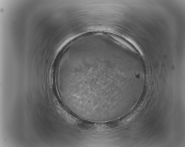 X0000085250983200703231645