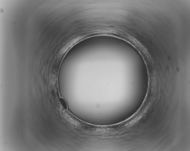 X0000085250985200703231645