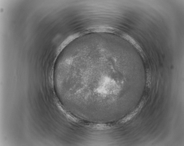 X0000085250986200703231645