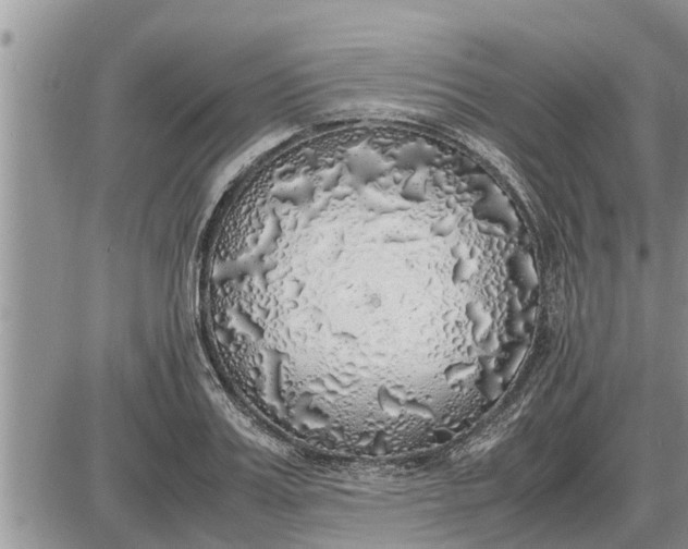 X0000085250987200703231645