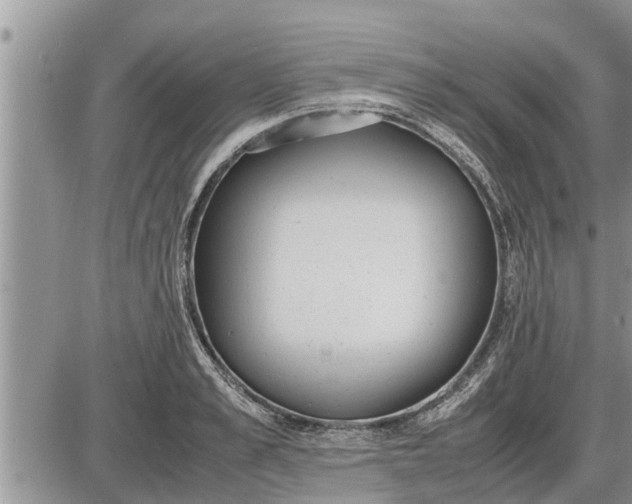 X0000085250989200703231645