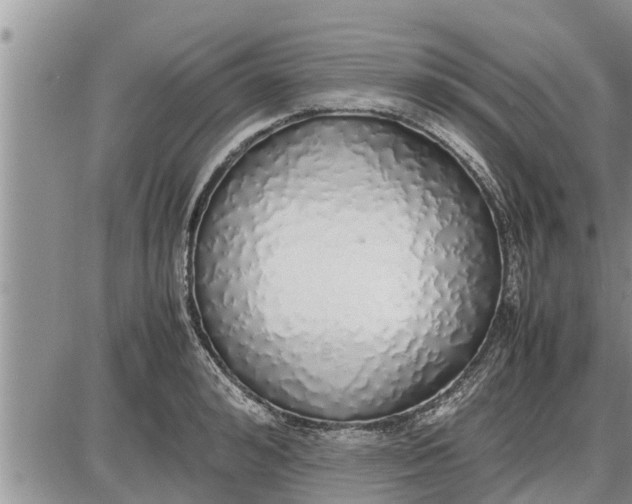 X0000085250992200703231645