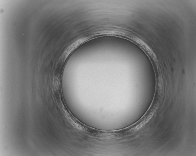 X0000085250993200703231645