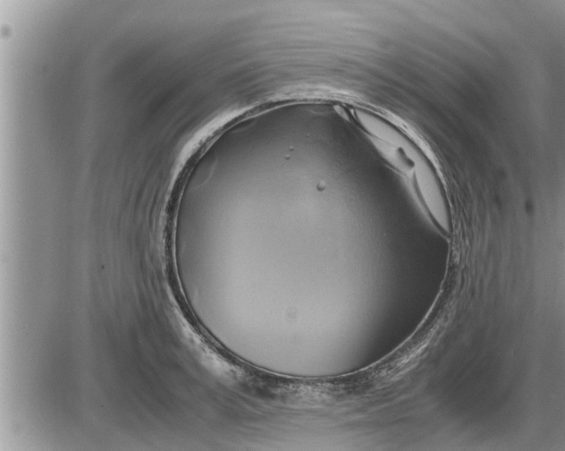 X0000085250995200703231645