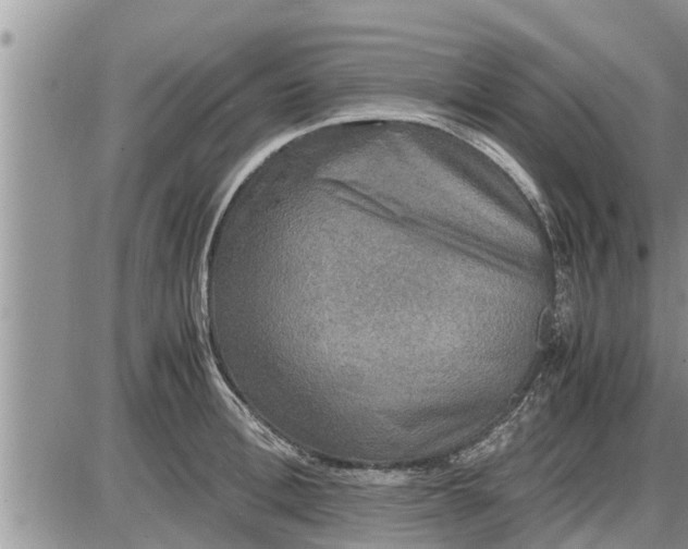 X0000085250996200703231645