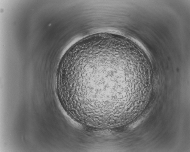 X0000085250999200703231645