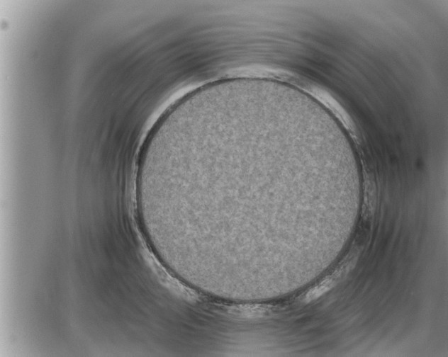 X0000085251000200703231645