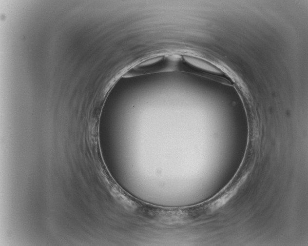 X0000085251001200703231645