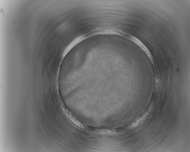 X0000085251002200703231645