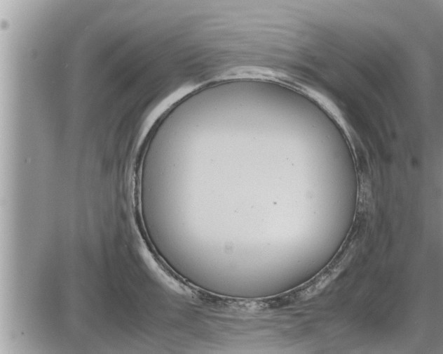 X0000085251003200703231645