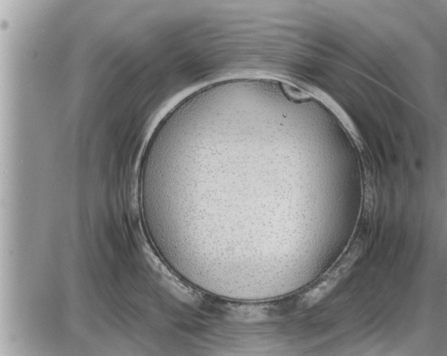 X0000085251004200703231645