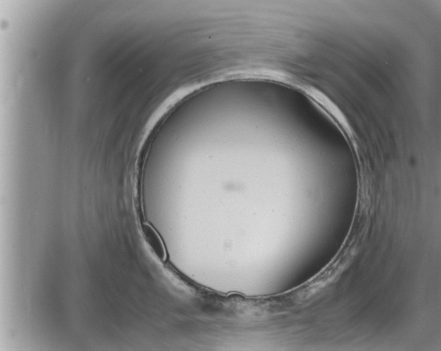 X0000085251005200703231645