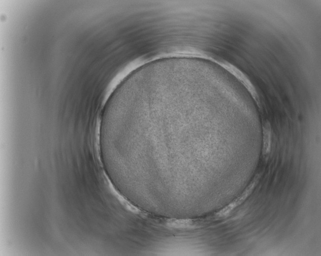 X0000085251006200703231645