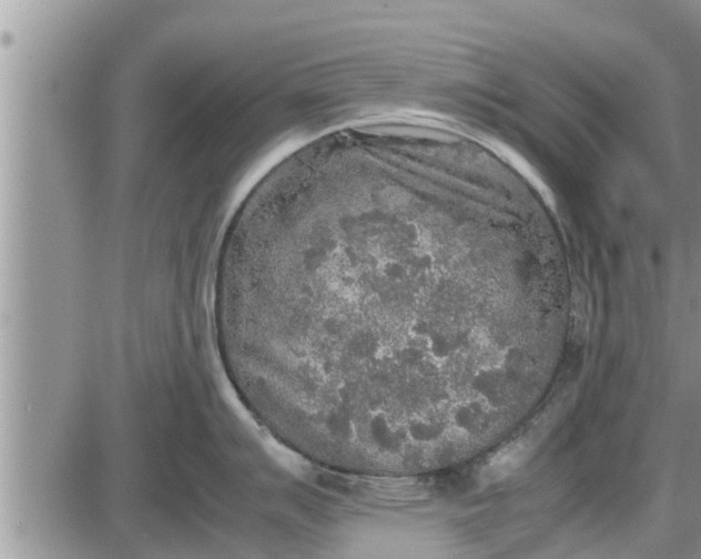 X0000085251007200703231645