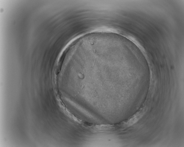 X0000085251008200703231645