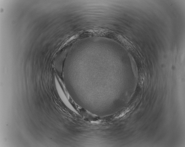 X0000085251010200703231644