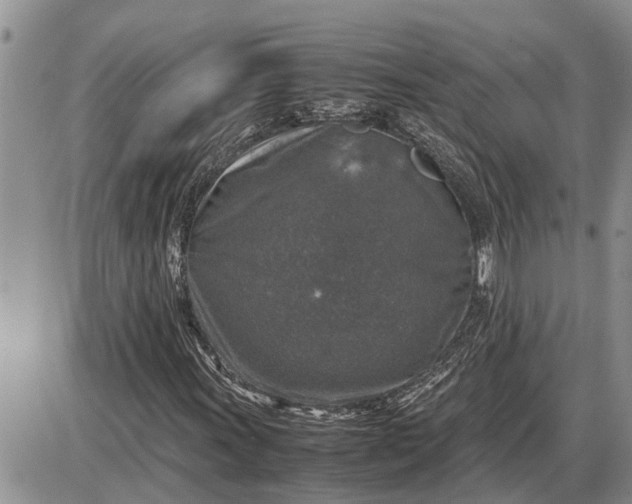 X0000085251011200703231644